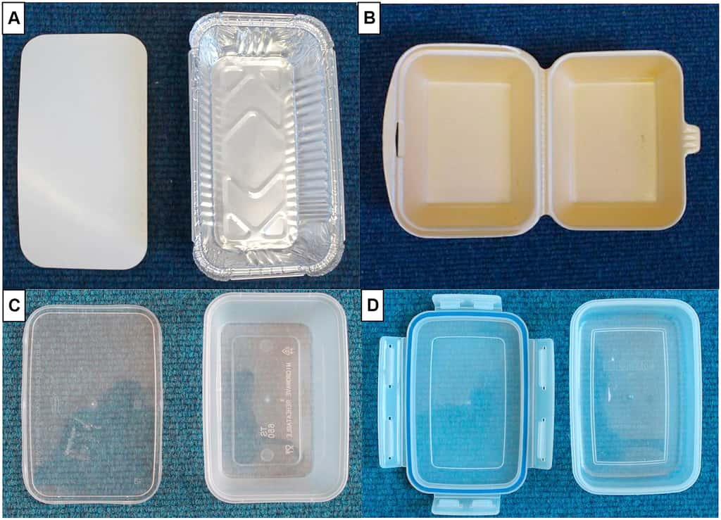 Les différents types de récipients étudiés : aluminium (A), polystyrène extrudé – Styrofoam (B), polypropylène (C), polypropylène réutilisable – Tupperware (D). <i>© Alejandro Gallego-Schmid et al, Journal of Cleaner Production, 2018</i>